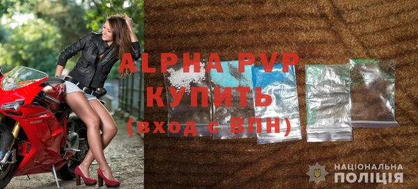 прущие грибы Белокуриха
