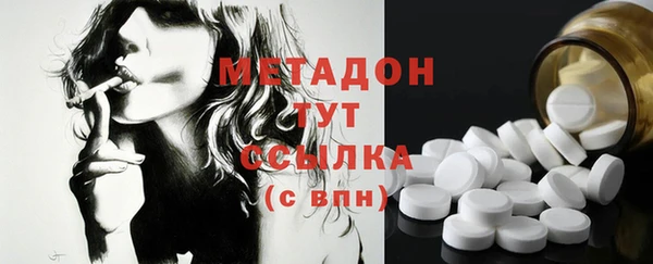 прущие грибы Белокуриха