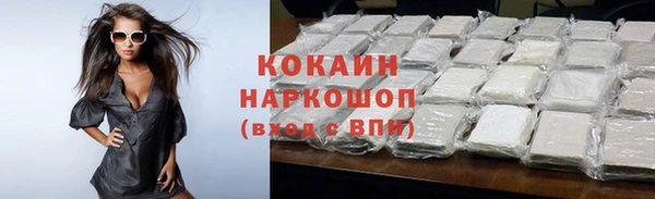 прущие грибы Белокуриха