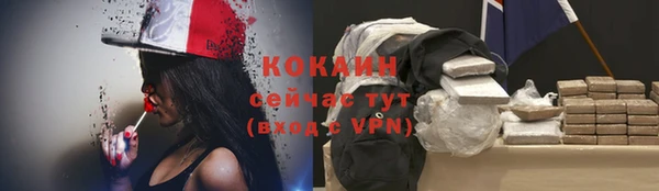 прущие грибы Белокуриха