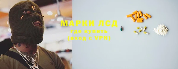 прущие грибы Белокуриха