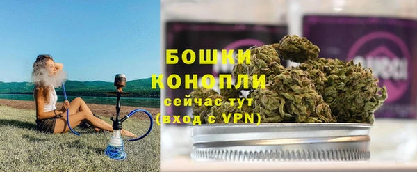 прущие грибы Белокуриха