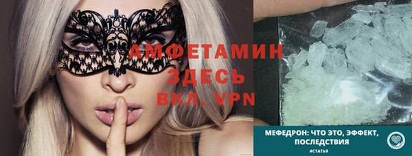 прущие грибы Белокуриха