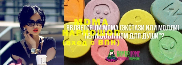 прущие грибы Белокуриха