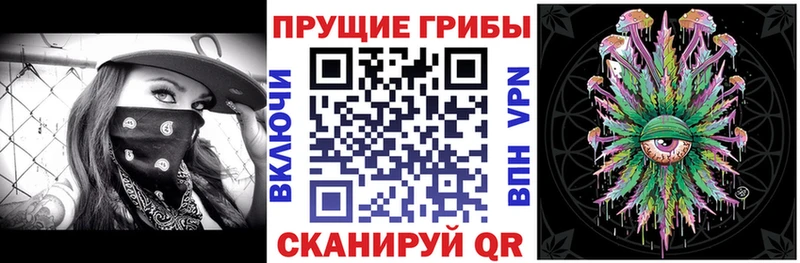 Галлюциногенные грибы Psilocybine cubensis  Кстово 